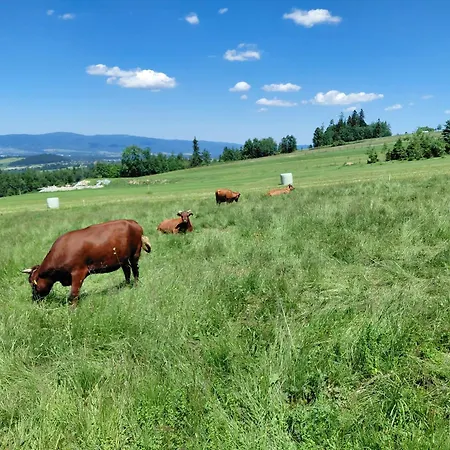 Alojamento de Turismo Rural U Hani *